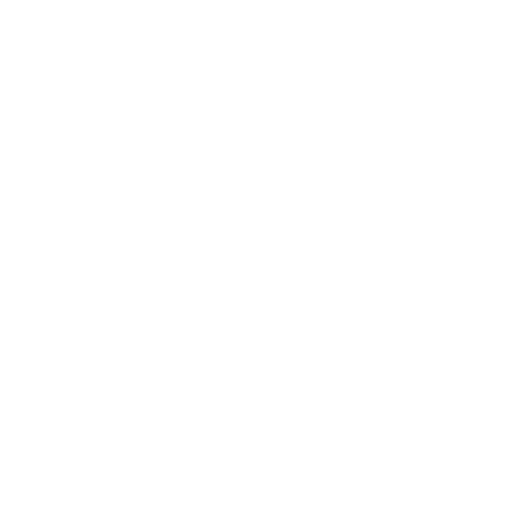 Pegasus Robotics Logo - Portait